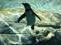 New house, new job and a little bit homesick