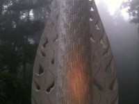 Sumimasen Mr Termite!