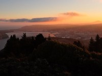 Not all those who wander, are lost