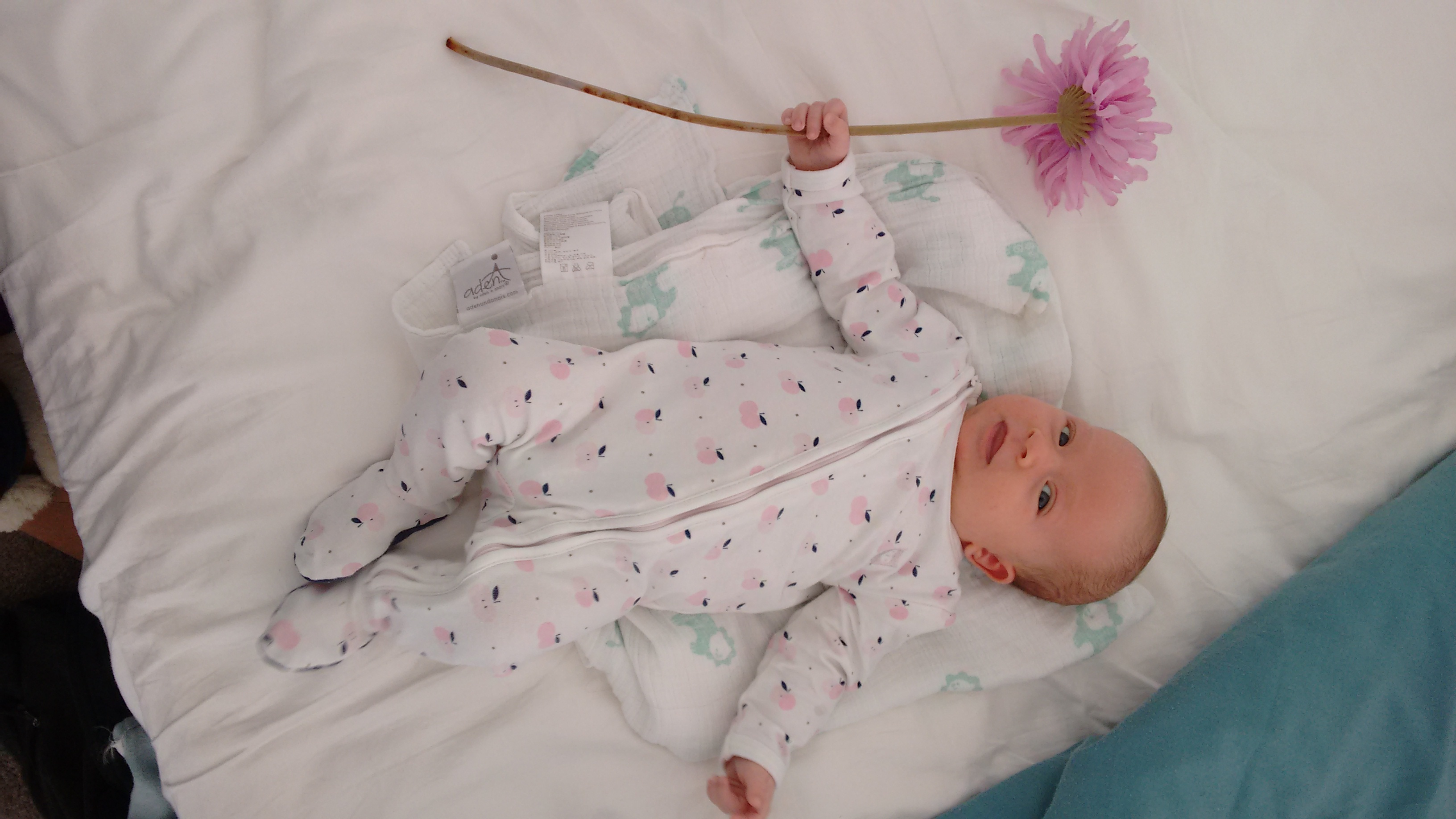 IMG_20150513_085806397