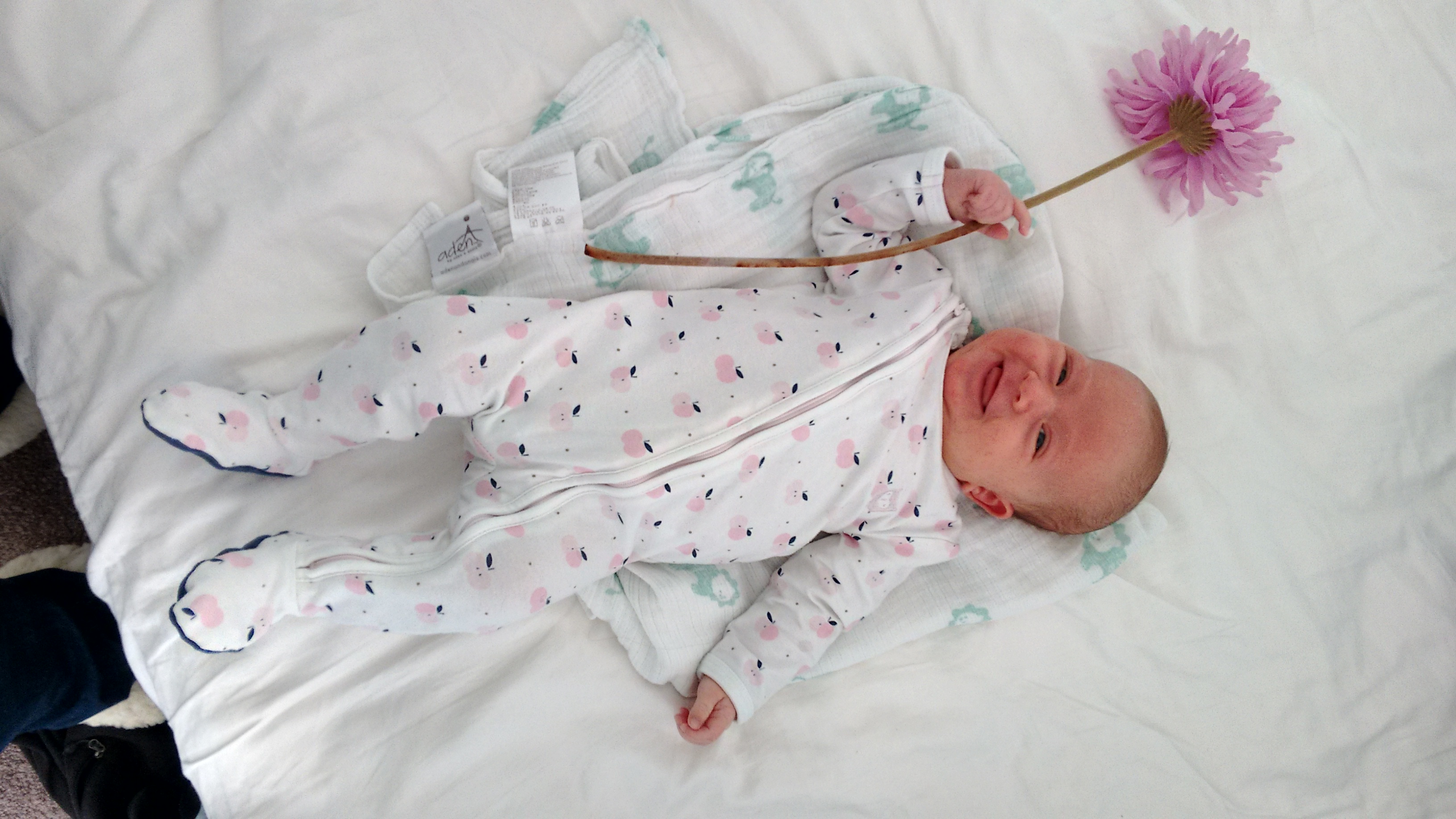 IMG_20150513_085825546_HDR