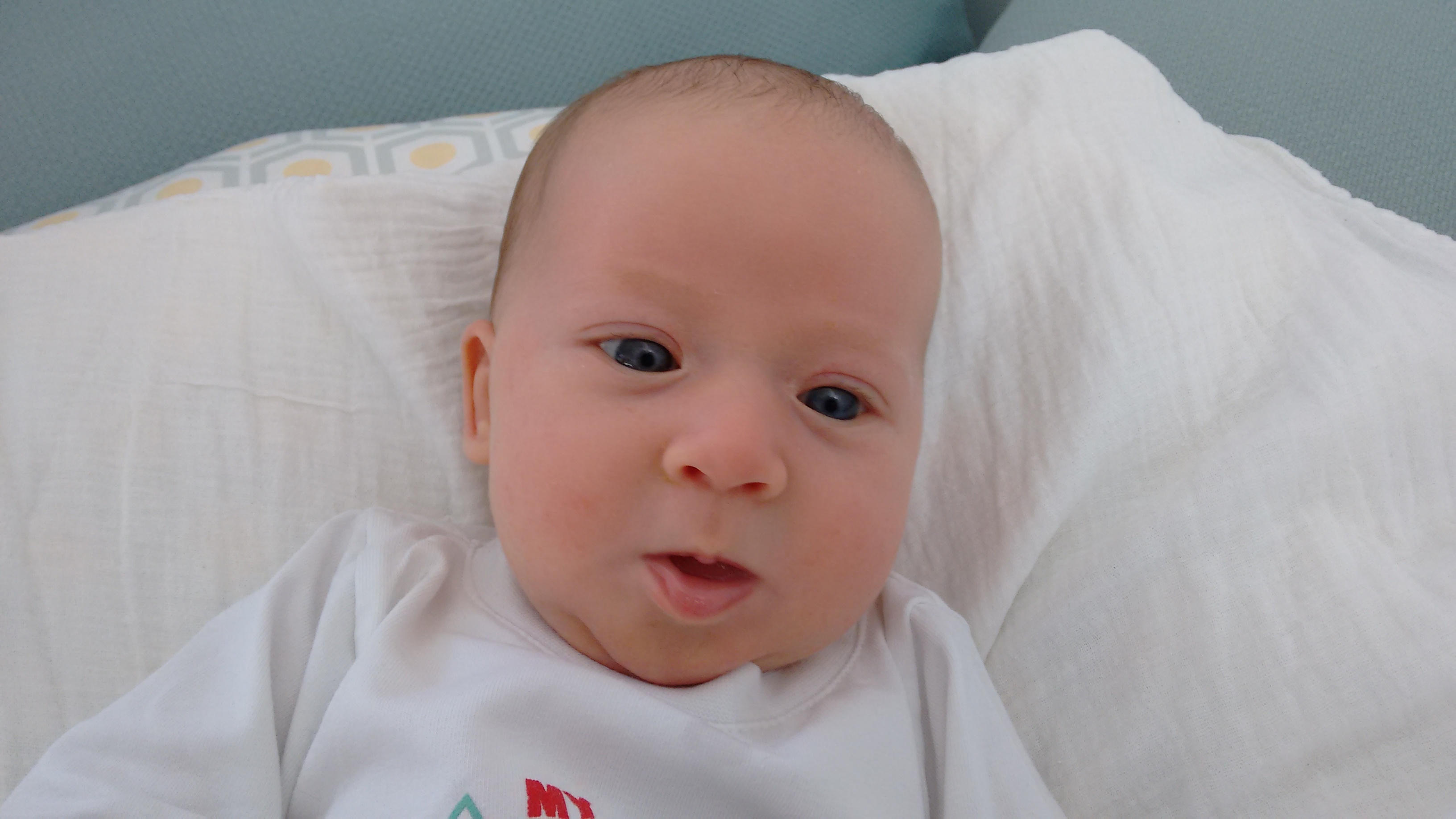 IMG_20150517_105246928