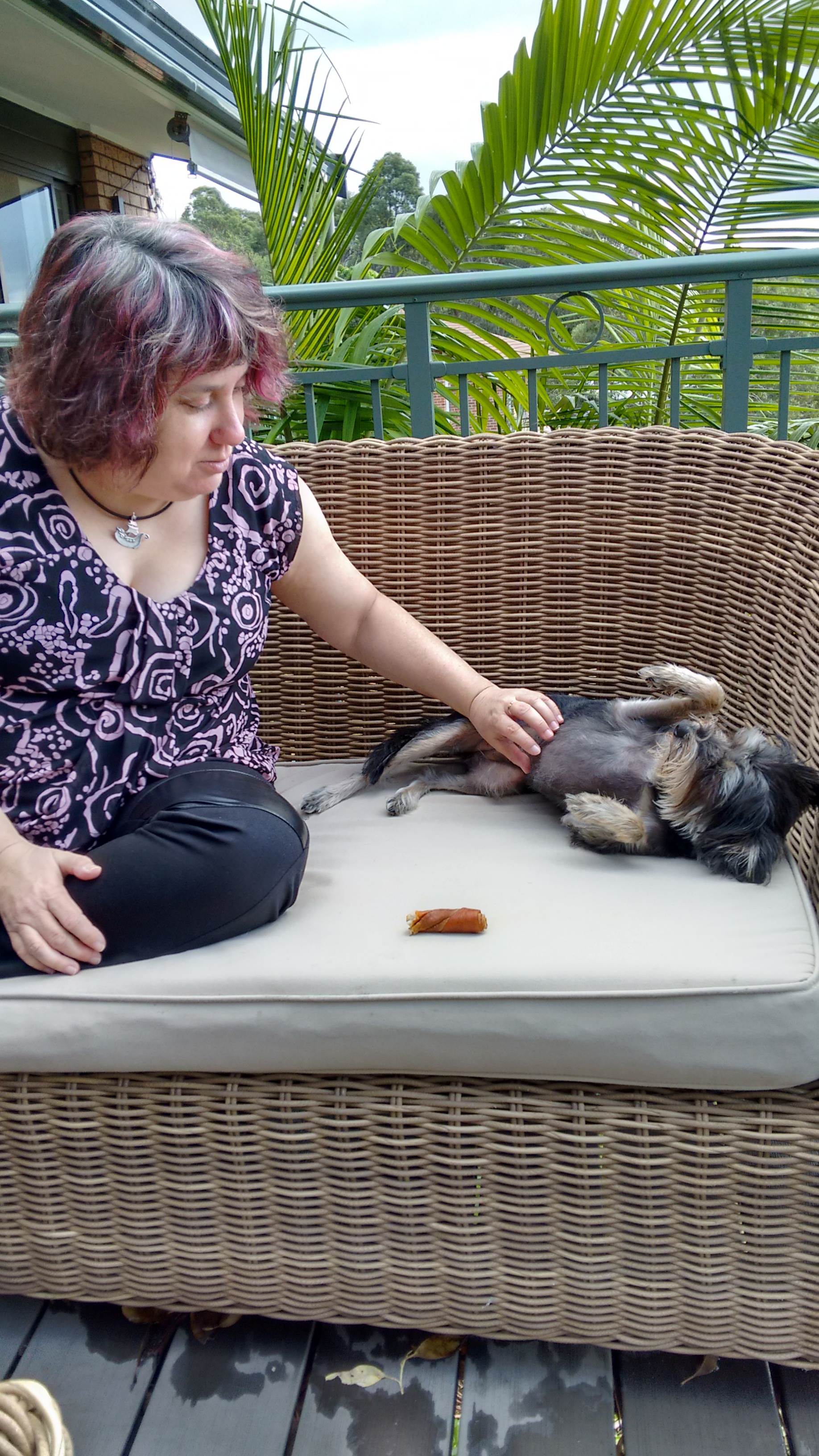 IMG_20150517_120501429_HDR