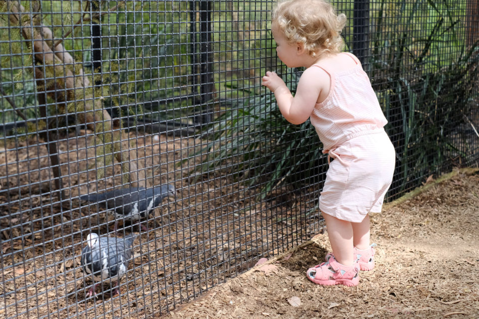 "Pffft. Pfft" Deed ze de vogeltjes na