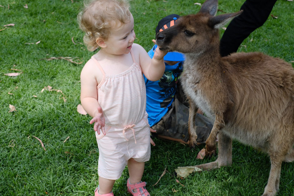 Totaal geen schrik van de diertjes!