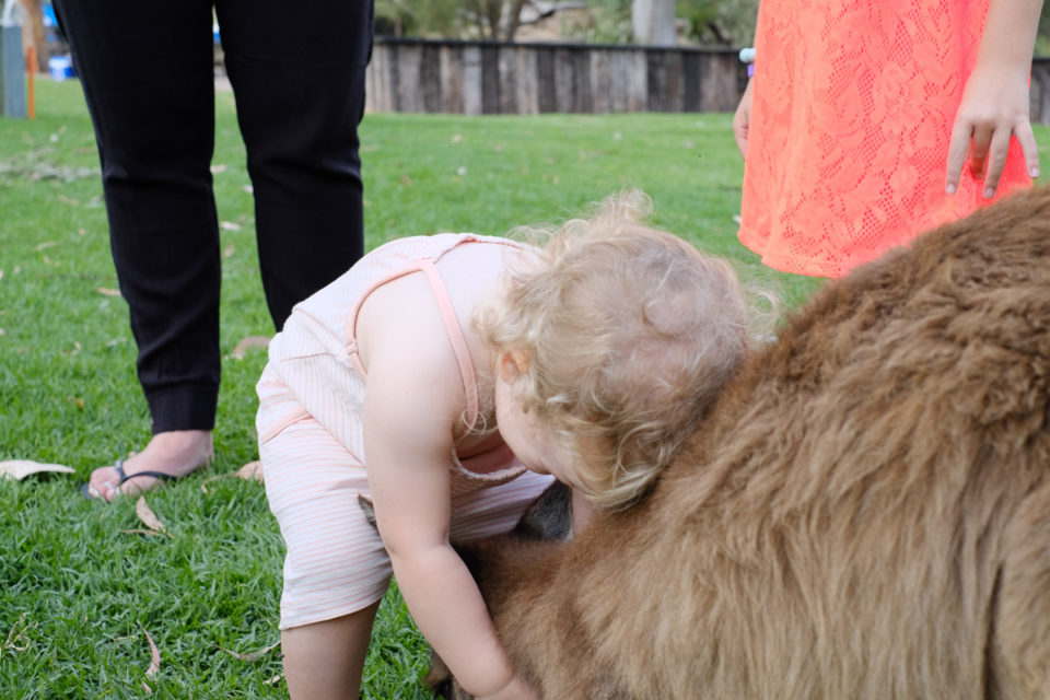 Dikke knuffel! (ze zou 'm graag opgepakt hebben)